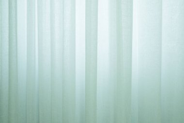 Renk Trend 2020 Neo Nane arkaplanı. Deniz köpüğü yeşil tül pencere kumaşı