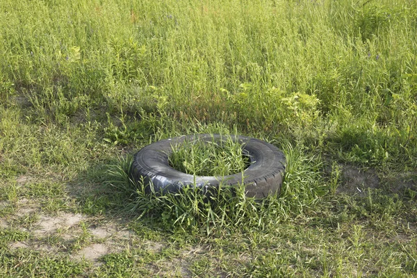 Car rubber tire thrown into a green meadow. Environmental pollution — ストック写真