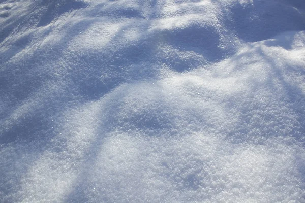 Snowdrift sfondo con ombra di alberi — Foto Stock