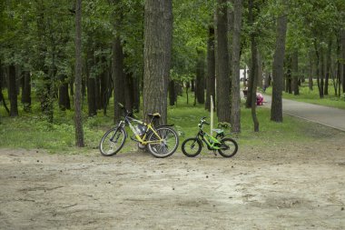 Kyiv Ukrayna - 26 Mayıs 2019: Parktaki yeşil çimlerin üzerinde ağaçların yakınına park edilmiş iki bisiklet