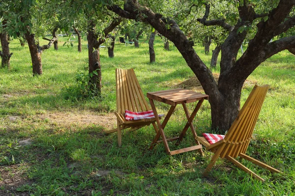 Wooden chairs and table under tree in a beautiful garden