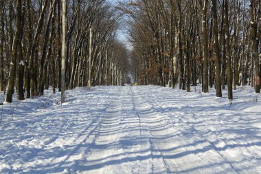 Karla kaplı yol uzaklarda araba ile.