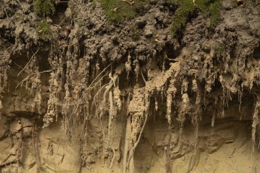 Jeoloji kil kazıcı doğal doku