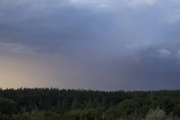 Donker boslandschap met humeurige dramatische lucht erboven — Stockfoto