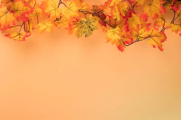Minimalna koncepcja jesieni na pastelowym tle wykonane z wielobarwnych liści klonu. Górny widok i układ przestrzeni kopiowania — Zdjęcie stockowe