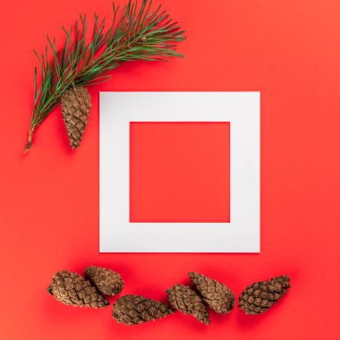 Kırmızı arka planda Noel kompozisyonu. Kare beyaz çerçevenin en üst görüntüsü, köknar ağacı dalları ve koniler. Kopya alanı ile yeni yıl kavramı