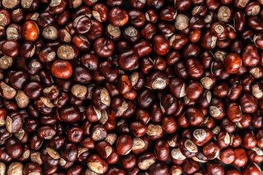 Üst düzey kestane yığını. Gıda konsepti için olgun kestane yığını.