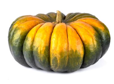 Devasa olgunlaşmış yeşil ve sarı balkabağı beyaz arka planda izole edilmiş. Sonbahar hasat yaratıcı konsept