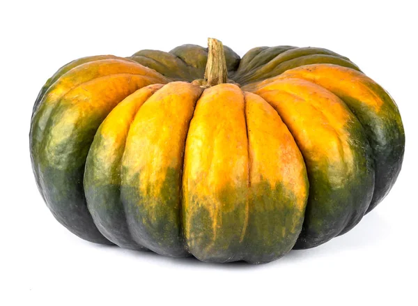 Enorme calabaza verde y amarilla demasiado madura aislada sobre fondo blanco. otoño cosecha concepto creativo — Foto de Stock