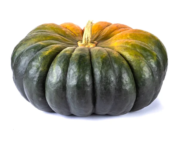 Enorme calabaza verde demasiado madura aislada sobre fondo blanco. otoño cosecha concepto creativo — Foto de Stock