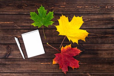 Sonbahar kompozisyonu. Çok renkli akçaağaç yaprakları üzerine defter ve kalem. Koyu kahverengi arka plan. Şükran Günü konsepti. Düz konum, üst görünüm, kopyalama alanı