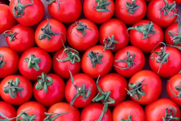 Группа вкусных красных помидоров, летняя ферма лоток рынок полный органических овощей, вид сверху, избирательный фокус, сельское хозяйство фон — стоковое фото