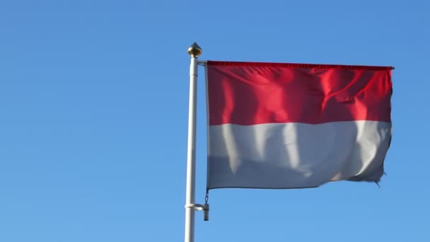 Close View Flag Indonesia Waving Wind Blue Sky Background Clouds — Stock Video