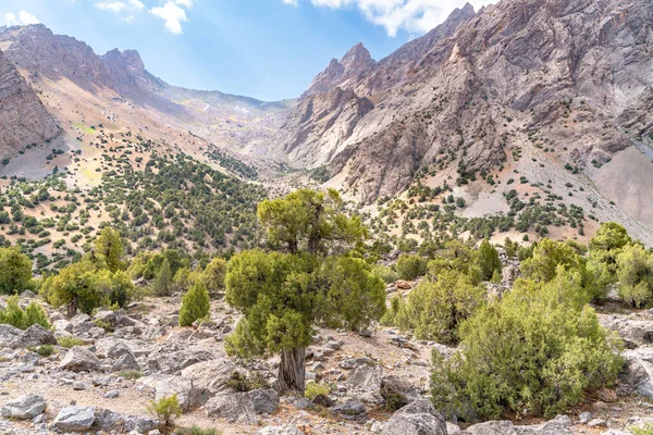 Hermosa Carretera Senderismo Montaña Con Cielo Azul Claro Colinas Rocosas — Foto de Stock