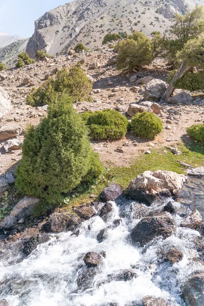Piękna Górska Droga Trekkingowa Błękitnym Niebem Skalistymi Wzgórzami Oraz Świeżym — Zdjęcie stockowe