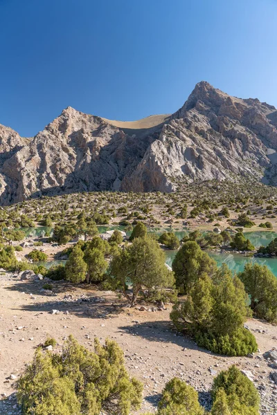 Pamir sıradağları manzarası ve Tacikistan 'daki Fann Dağları' ndaki Kulikalon Gölü 'ndeki huzurlu kamp alanı. Ardıç ağacı toplanıyor.
