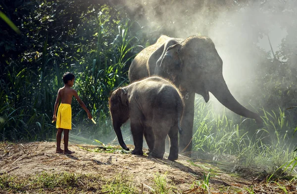 Elefante con niño —  Fotos de Stock