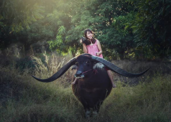 Азиатка верхом на буйволе с радио — стоковое фото