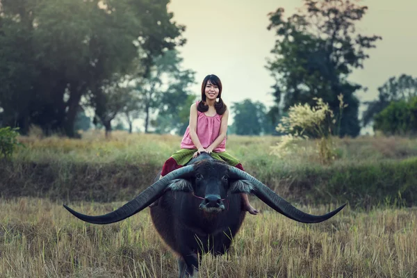 Mujer asiática (tailandesa) agricultora con un búfalo en el campo — Foto de Stock