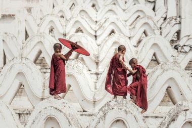 Tapınakta Budist çaylak, Myanmar