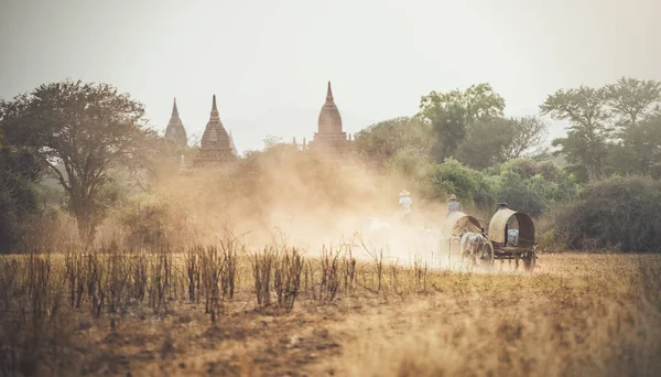 Burmese Rural Man Driving Wooden Cart Hay Dusty Road Drawn — Stock Photo, Image