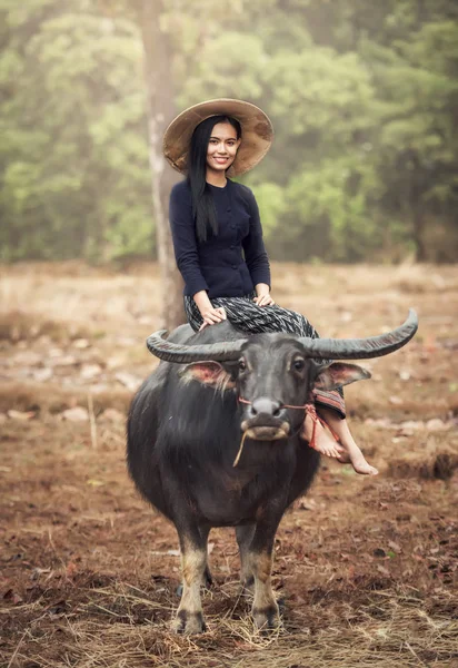 Asiatique femme (Thai) agriculteur avec un buffle dans le champ — Photo