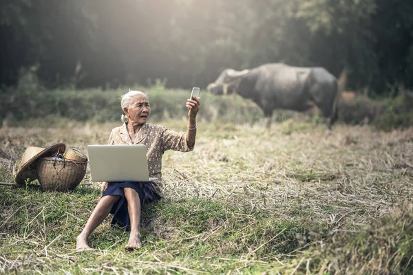 Gammal kvinna med en laptop och telefon utomhus — Stockfoto