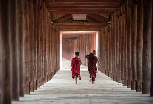 Baksidan av buddhistiska nybörjare vandrar i pagoden, Myanmar — Stockfoto