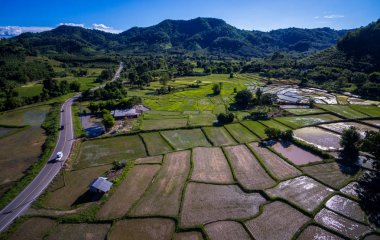 Pirinç terasları ve tarım kırsal under