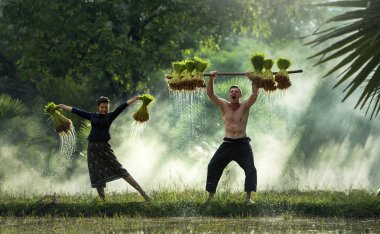 mutlu çiftçi pirinç alanında, Tayland