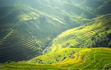 Pirinç Teras Mu Cang Chai, Vietnam, güzel görünüm