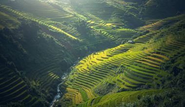 Pirinç Teras Mu Cang Chai, Vietnam, güzel görünüm