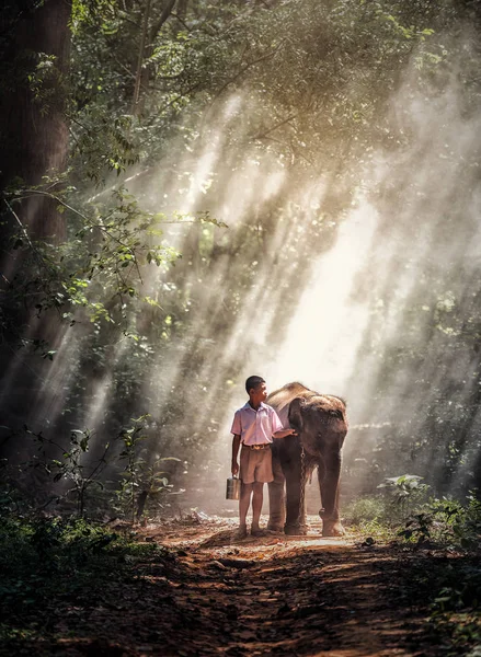 Menino com elefante bebê na floresta — Fotografia de Stock