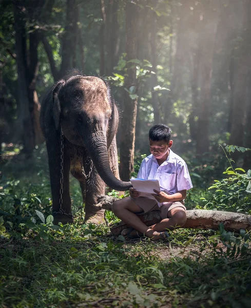 Studentka malé asijské chlapce s jeho slon — Stock fotografie