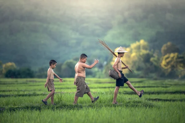 钓鱼在稻田中的男孩 — 图库照片