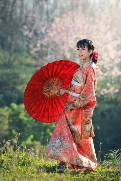 Attraktiva asiatisk kvinna klädd i traditionell japansk kimono — Stockfoto