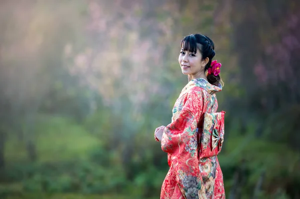 Attraktiva asiatisk kvinna klädd i traditionell japansk kimono — Stockfoto