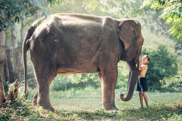 Amistad entre niños con elefante en el campo de Tailandia —  Fotos de Stock