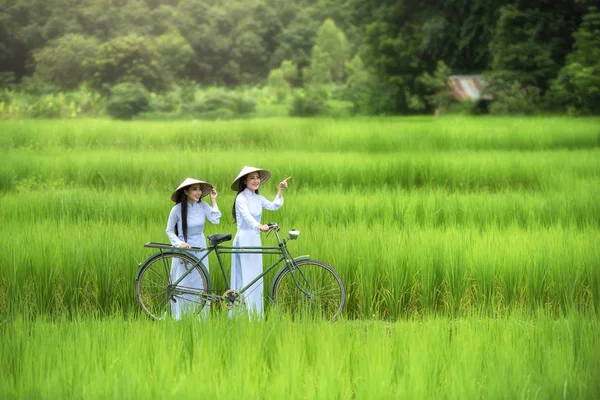 Mooie vrouw Vietnam traditionele cultuur — Stockfoto