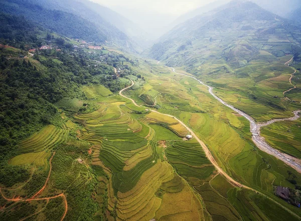 Aerial view of Rice fields on terraced of Mu Cang Chai — Stock Photo, Image