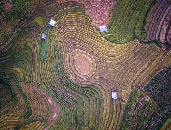 Luchtfoto van rijstvelden op terrassen van Mu Cang Chai — Stockfoto