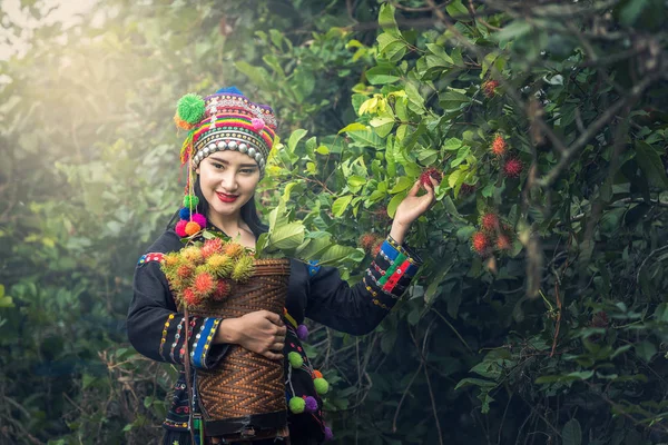 Karens lány a hagyományos ruhák rambutan ültetvény — Stock Fotó