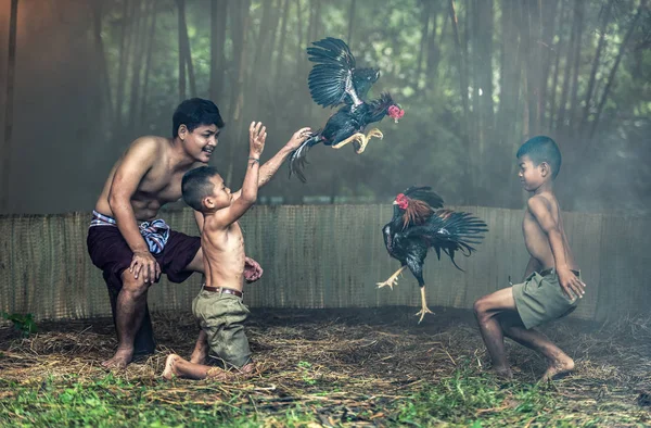 Thai local people with cock fighting in a farm — Stock Photo, Image