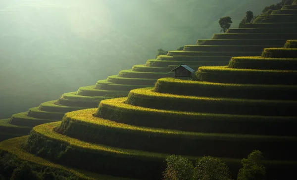 Rýžová pole Mu Cang Chai, Vietnam — Stock fotografie