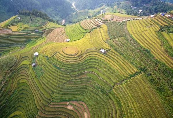 Veduta aerea dei campi di riso a terrazze di Mu Cang Chai — Foto Stock