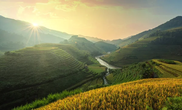 Green Rice fields on terraced in Mu Chang Chai — Stock Photo, Image