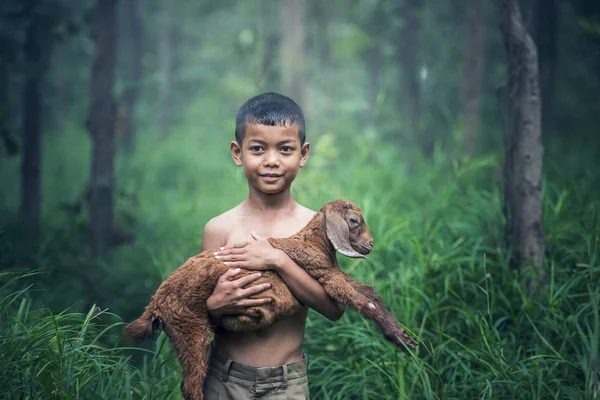 Asia jongen met baby geiten in de Wei. — Stockfoto