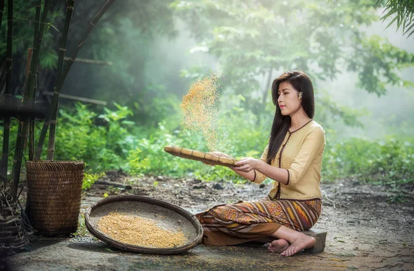 Красивая девушка, взбивающая рис между рисом и рисовой шелухой. — стоковое фото