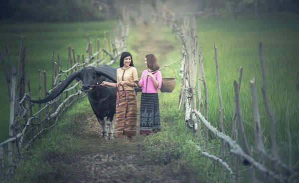 Asiatisk kvinna (thailändska) bonde med en buffel i fältet — Stockfoto