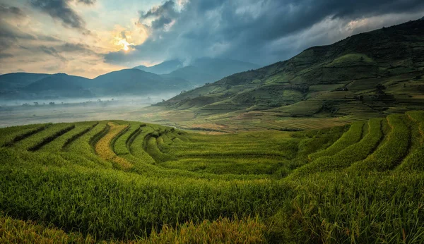 Zelená rýžová pole na terasovitě v Mu Chang Chai — Stock fotografie